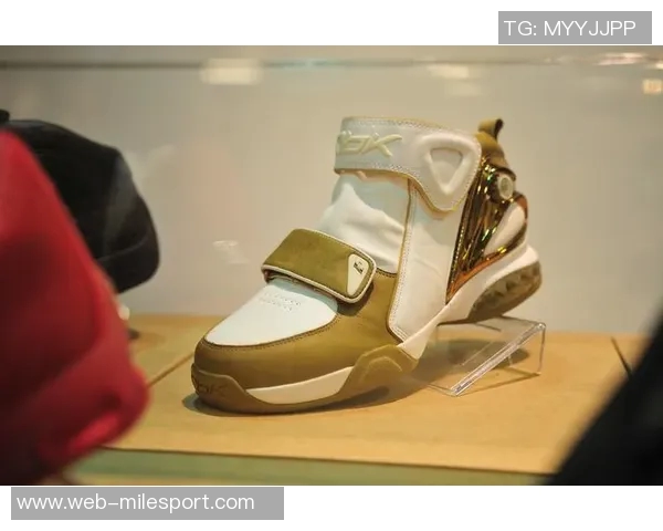 阿里纳斯直言艾弗森人气虽高却未获联盟力捧代言品牌仅限锐步